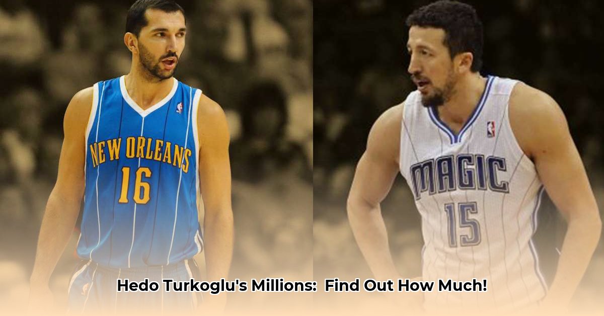 hedo-turkoglu-net-worth